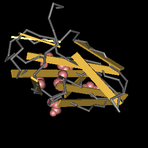 Conserved site includes 7 residues -Click on image for an interactive view with Cn3D