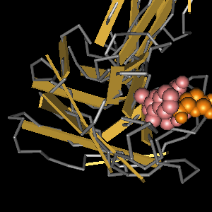 Conserved site includes 3 residues -Click on image for an interactive view with Cn3D