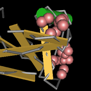 Conserved site includes 8 residues -Click on image for an interactive view with Cn3D