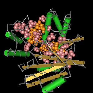 Conserved site includes 30 residues -Click on image for an interactive view with Cn3D