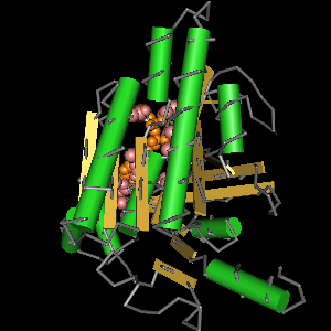 Conserved site includes 13 residues -Click on image for an interactive view with Cn3D