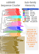 基于蛋白质序列的系统发育关系和功能特性，显示蛋白质家族差异的结构域层次缩略图。单击图像跳转到CDD帮助文档中的更大的带注释版本。