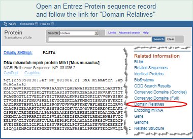 Protein sequence example