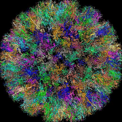 Papilloma Viruses, Human papillomavirus type 16 gene