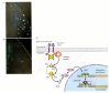 Figure 6.15. Activation of the Mitf transcription factor through the binding of stem cell factor by the Kit RTK protein.