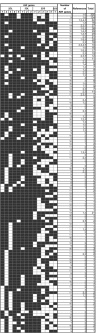 Figure 6. KIR genotype profiles observed to date.