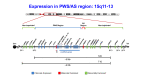 Figure 2. . Summary of the genetic and expression map of chromosome region 15q11.