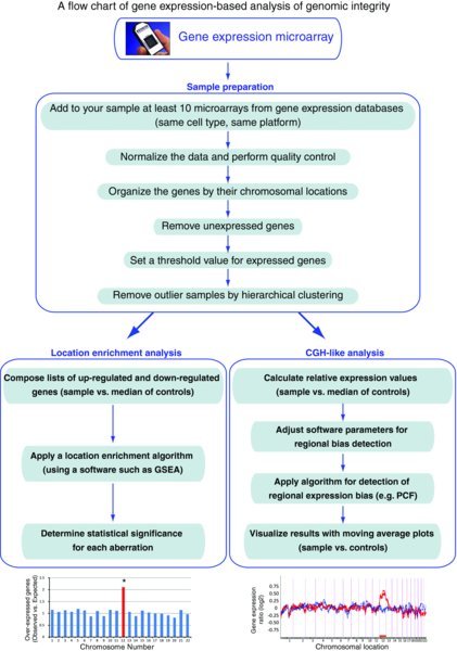 Gene Expression Chart