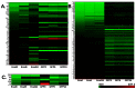 Figure 3. Heat Map Comparisons of Differential Gene Expression.