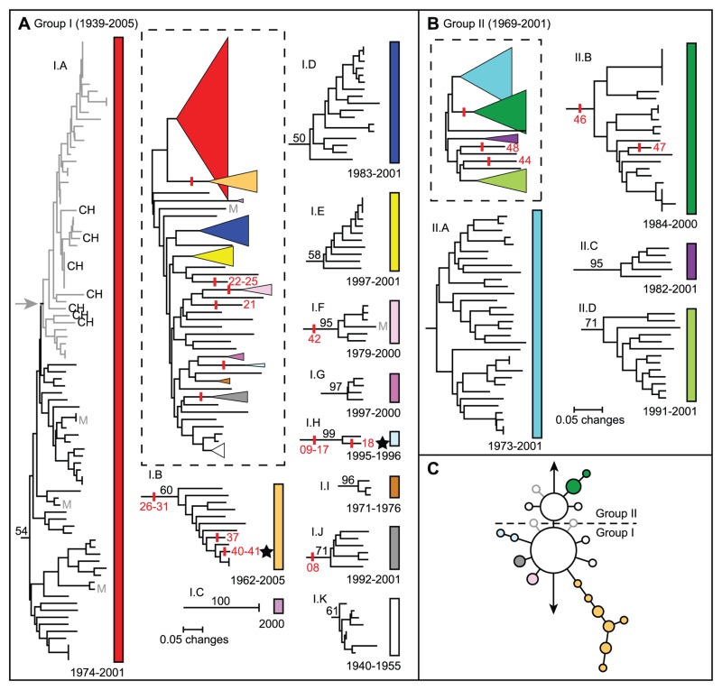 A two panel diagram showing neighbor-joining dendrograms based on MLVA data