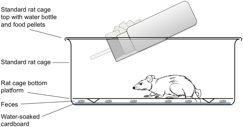 Figure 3 Large Rodent Cage Modified For Overnight Collection Of