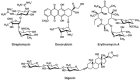 FIGURE 51.1. Examples of natural products that possess glycan components.