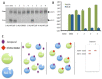 Figure 10. A selection of inhibitors shows selectivity for recombinant FAS-TE and ACOT4.