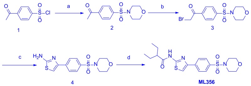 Scheme 1. Synthesis of ML356, conditions: a. Morpholine, DIPEA, DCM, RT, overnight (78%); b. Bromine, HBr 45% solution, chloroform, 0 °C to RT, overnight (60%); c. Thiourea, NaHCO3, THF, RT, overnight (83%); d. 2-Ethylbutyoric chloride, dry pyridine, dry dichloromethane, 60°C reflux, overnight (65%).