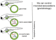 FIGURE WO-3. Host–microbe systems biology.