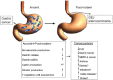 FIGURE WO-16. Physiological differences observed between the ancient (H.