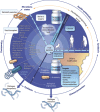 FIGURE WO-30. Therapeutic modulation of the gut microbiota: from the cradle to the grave.