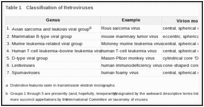 Table 1. Classification of Retroviruses.
