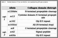 Table 2. Mutated domains of the non-allelic, non-complementing SQT gene products.