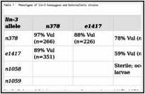 Table 1. Phenotypes of lin-3 homozygous and heteroallelic strains.