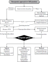 FIGURE 5.5. Therapeutic algorithm in uremic pruritus: Kt/V, urea clearance in relation to urea distribution volume; iPTH, intact parathormone.