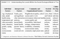 Exhibit 1.1-3. Understanding the Levels Within the Social-Ecological Model of Trauma and Its Effects.