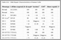 Таблица 15.3. Характеристики репарации ДНК человеческих клеток.