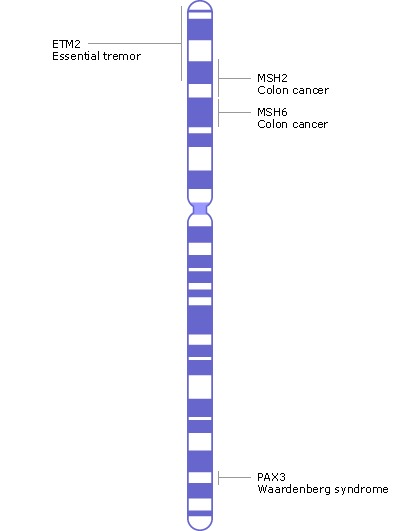 Chromosome Chart Definition