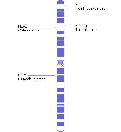 Chromosome Chart Definition