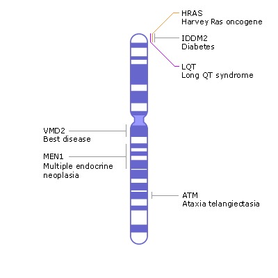 Chromosome Chart Name