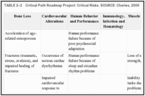 TABLE 2–2. Critical Path Roadmap Project: Critical Risks. SOURCE: Charles, 2000.
