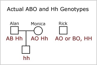 Prepare A Pedigree Chart For Blood Group