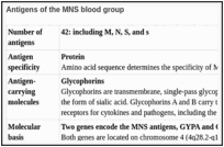 Antigens of the MNS blood group.