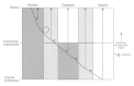 FIGURE 4-3. Vitamin A status.