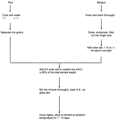 Figure 1. The procedure for burong bangus production.