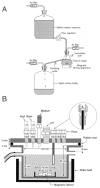 Figure 1. A general setup to grow microorganisms in continuous culture (A) and a basic fermentor vessel (B) containing substratum ports and support rods for biofilm accumulation.