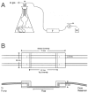 Figure 2. (A) A general setup to grow microorganisms in a continuous flowcell system.