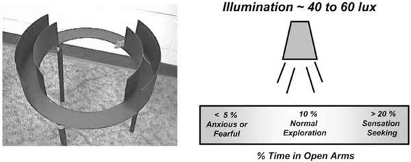 FIGURE 12.1. Zero maze for testing anxietylike behaviors.