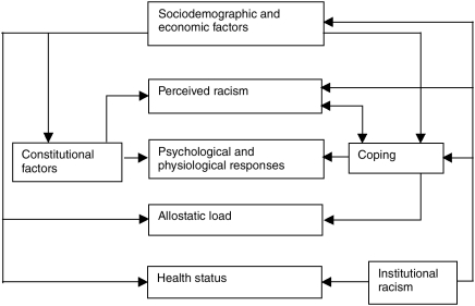 FIGURE 14-1. Conceptual model to examine the contribution of racism to health disparities.