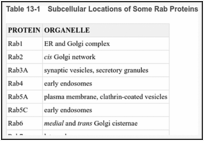 Table 13-1. Subcellular Locations of Some Rab Proteins.
