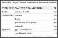 Table 16-1. Major Types of Intermediate Filament Proteins in Vertebrate Cells.