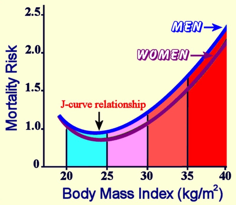 Decoding: BMI vs IBW & IBP in Weight Loss - The Happy Body