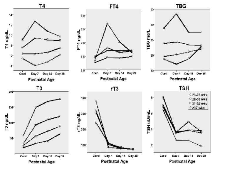 Figure 15-2. Postnatal changes in of T4, free T4, TBG, T3, rT3 and TSH according to gestational age.