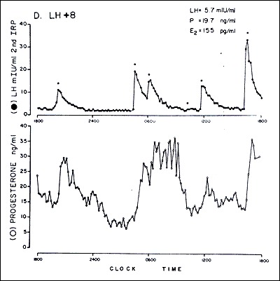 The Normal Menstrual Cycle and the Control of Ovulation - Endotext