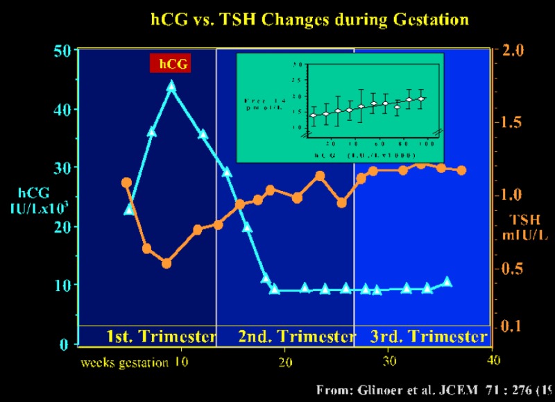 Figure 14-4. The pattern of serum TSH and hCG changes are shown as a function of gestation age in 606 healthy pregnant women.