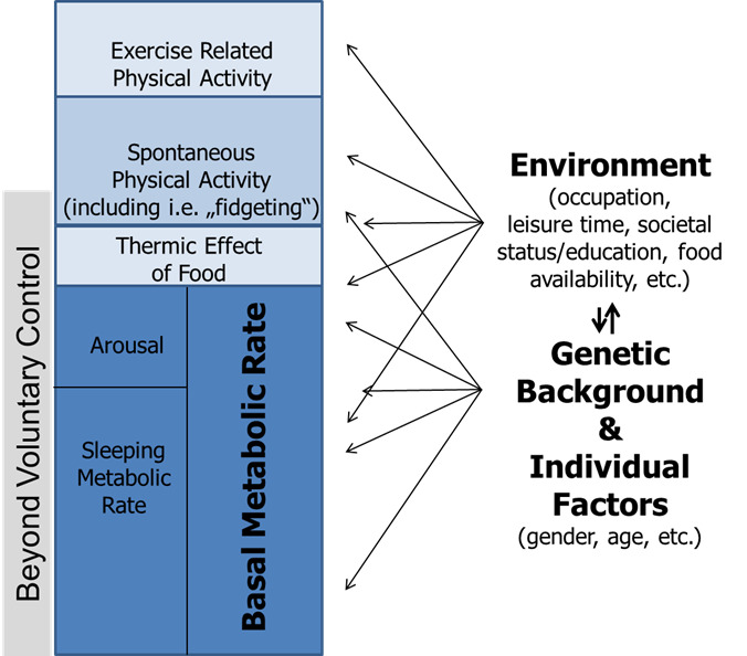 Mean baseline body weight and weight change by age and gender