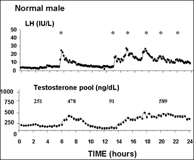 Low testosterone age range