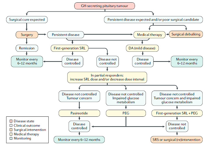 Figure 9. [Algorithm for management of acromegaly: Colao 2019 ...