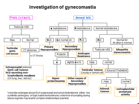 Gynecomastia: Etiology, Diagnosis, and Treatment - Endotext - NCBI Bookshelf