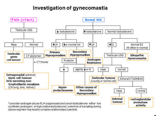 Normal breast biology Source: Normal Breast Development, Database